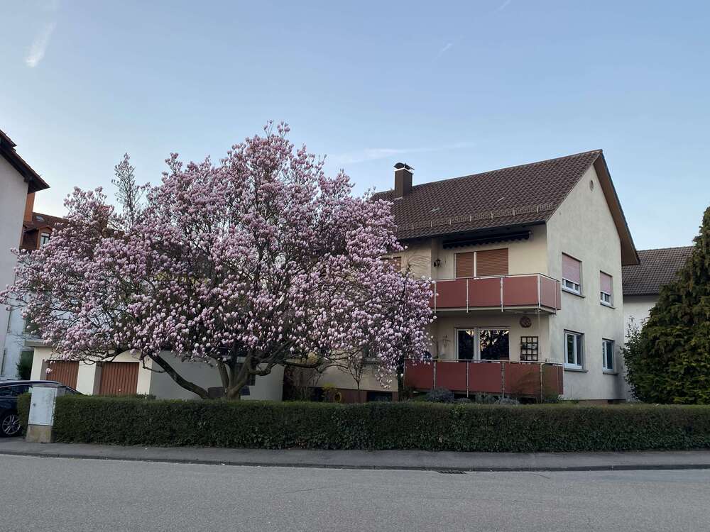 Thumbnail-Haus zum Kaufen in Bruchsal 590.000,00 € 166 m²