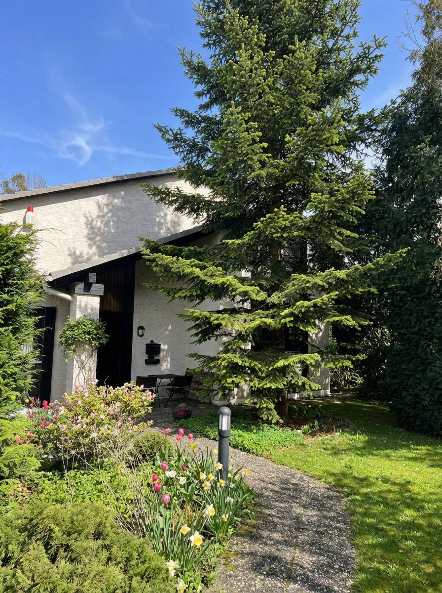 Thumbnail-Haus zum Kaufen in Nauheim 650.000,00 € 158 m²