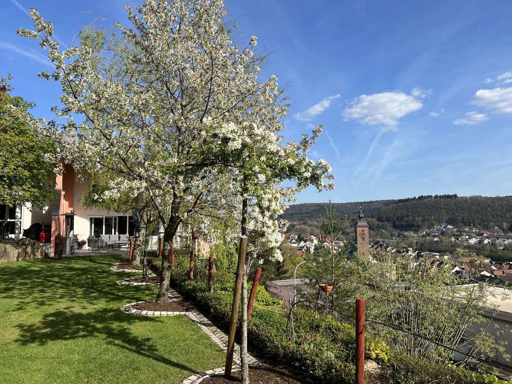Thumbnail-Haus zum Kaufen in Rodalben 1.790.000,00 € 350 m²
