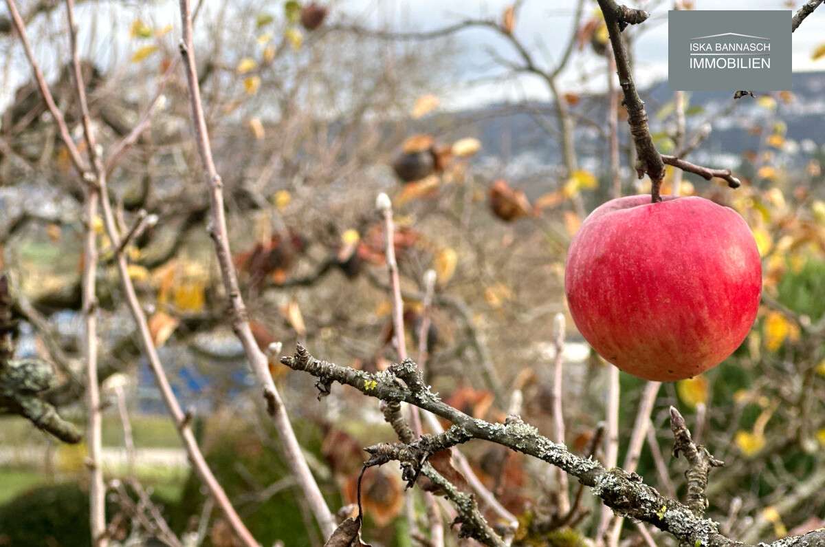 Thumbnail-Grundstück in Leonberg 96.000,00 € 1128 m²