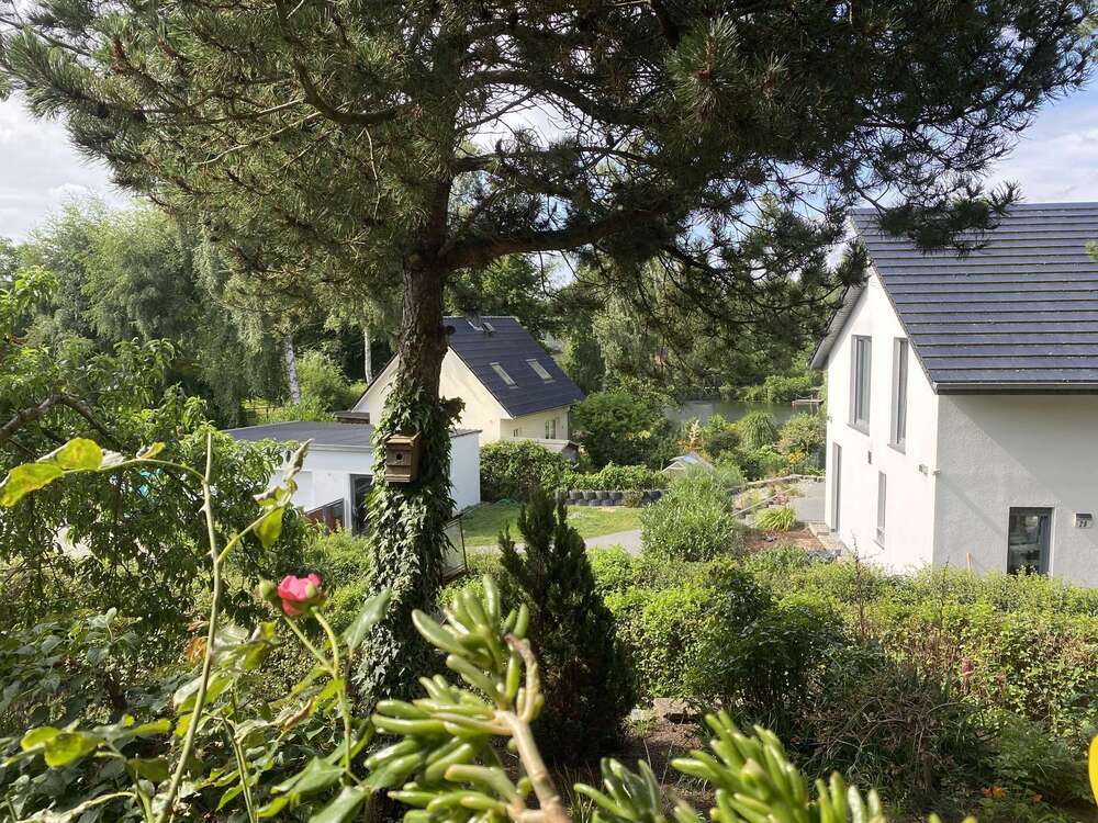 Thumbnail-Haus zum Kaufen in Papendorf 298.700,00 € 76.3 m²