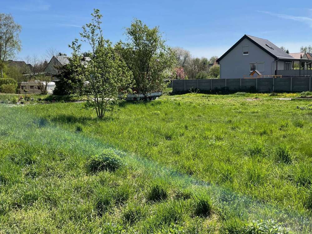 Thumbnail-Grundstück zu verkaufen in Grimma 60.000,00 € 502 m²