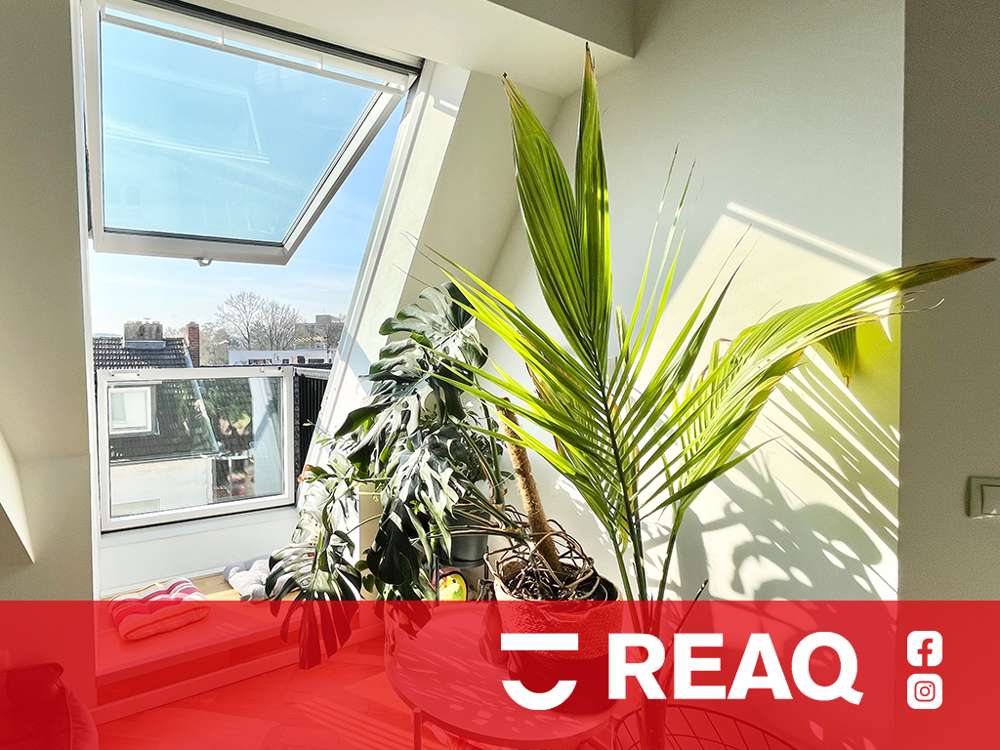 Thumbnail-Wohnung zum Mieten in Aachen 695,00 € 50 m²