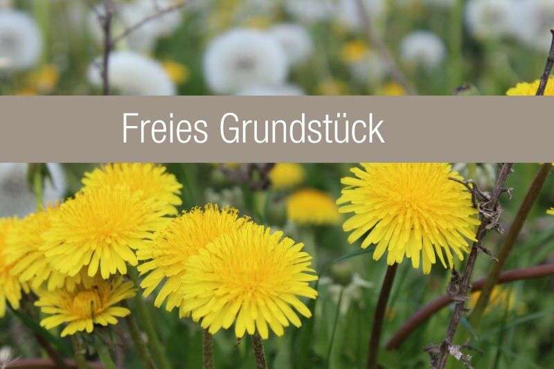 Thumbnail-Grundstück zu verkaufen in Magdeburg 114.898,00 €