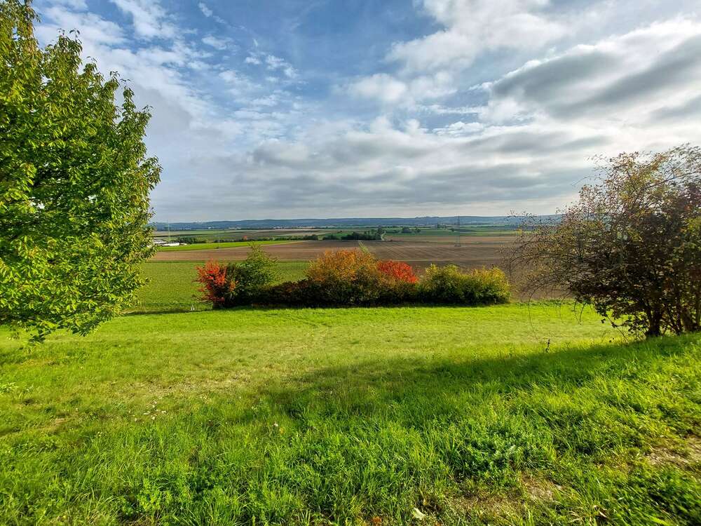 Thumbnail-Grundstück zu verkaufen in Moosthenning 195.000,00 € 779 m²