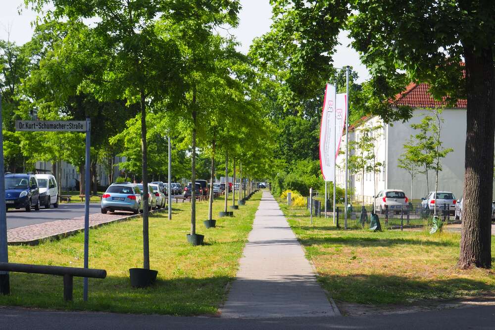 Thumbnail-Wohnung zum Mieten in Oranienburg 385,00 € 55 m²