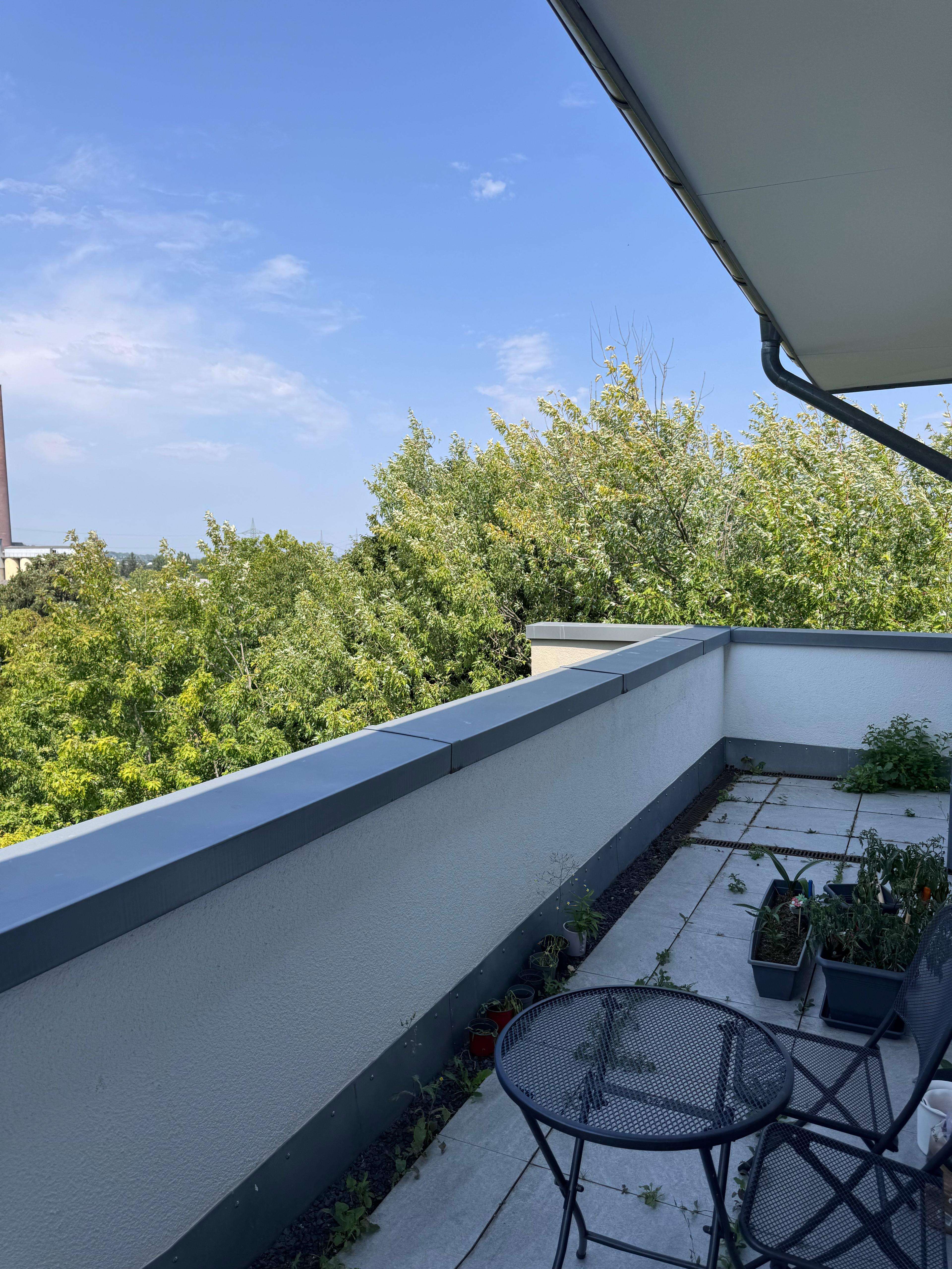 Thumbnail-Wohnung zum Kaufen in Bonn 168.750,00 € 37.5 m²