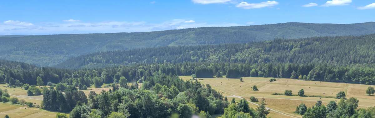 Thumbnail-Haus zum Kaufen in Dobel 495.000,00 € 205 m²