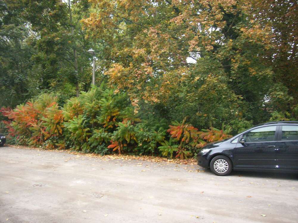 Thumbnail-Grundstück zu verkaufen in Lutherstadt Wittenberg 720.000,00 € 7315 m²