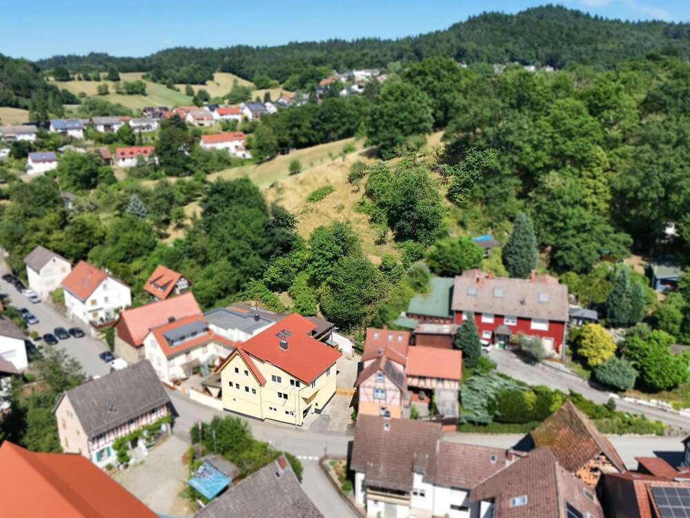 Thumbnail-Haus zum Kaufen in Heppenheim (Bergstraße) 698.000,00 € 245 m²