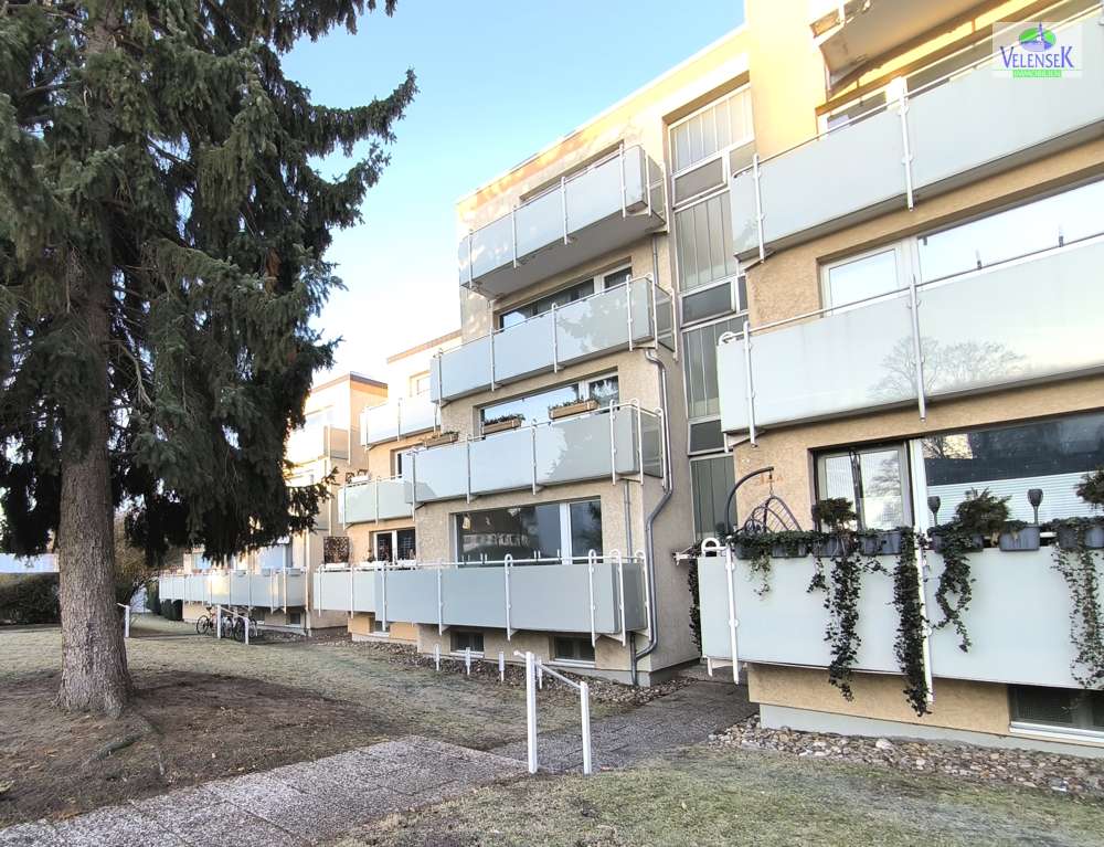 Thumbnail-Wohnung zum Mieten in Braunschweig 660,00 € 66.68 m²