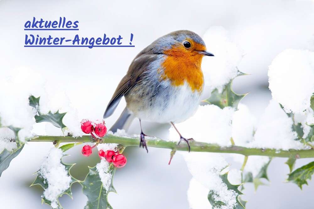 Thumbnail-Haus zum Kaufen in Großbottwar 679.000,00 € 255 m²