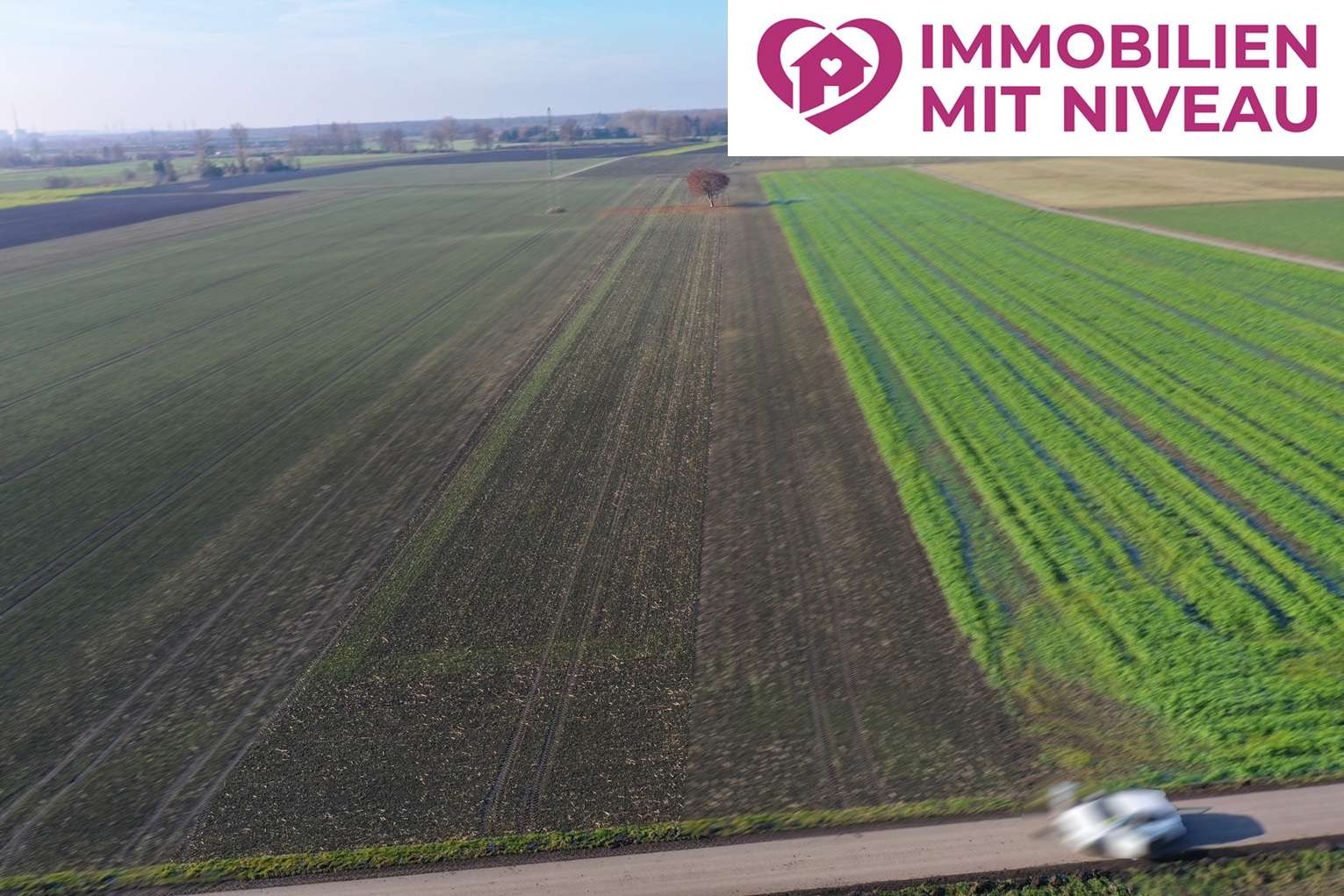 Thumbnail-Grundstück in Lauingen 136.000,00 € 11349 m²