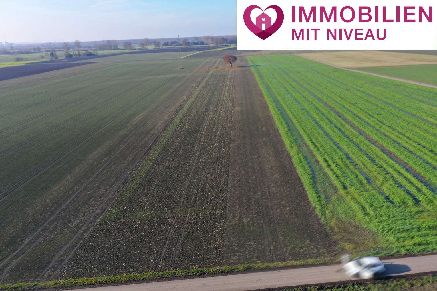 Thumbnail-Grundstück in Lauingen 136.000,00 € 11349 m²