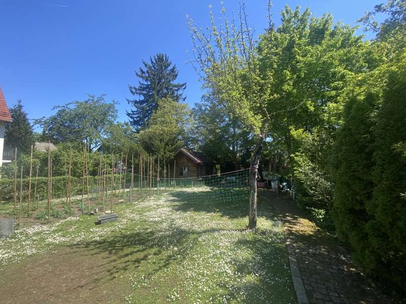 Thumbnail-Grundstück zu verkaufen in München 969.500,00 € 485 m²