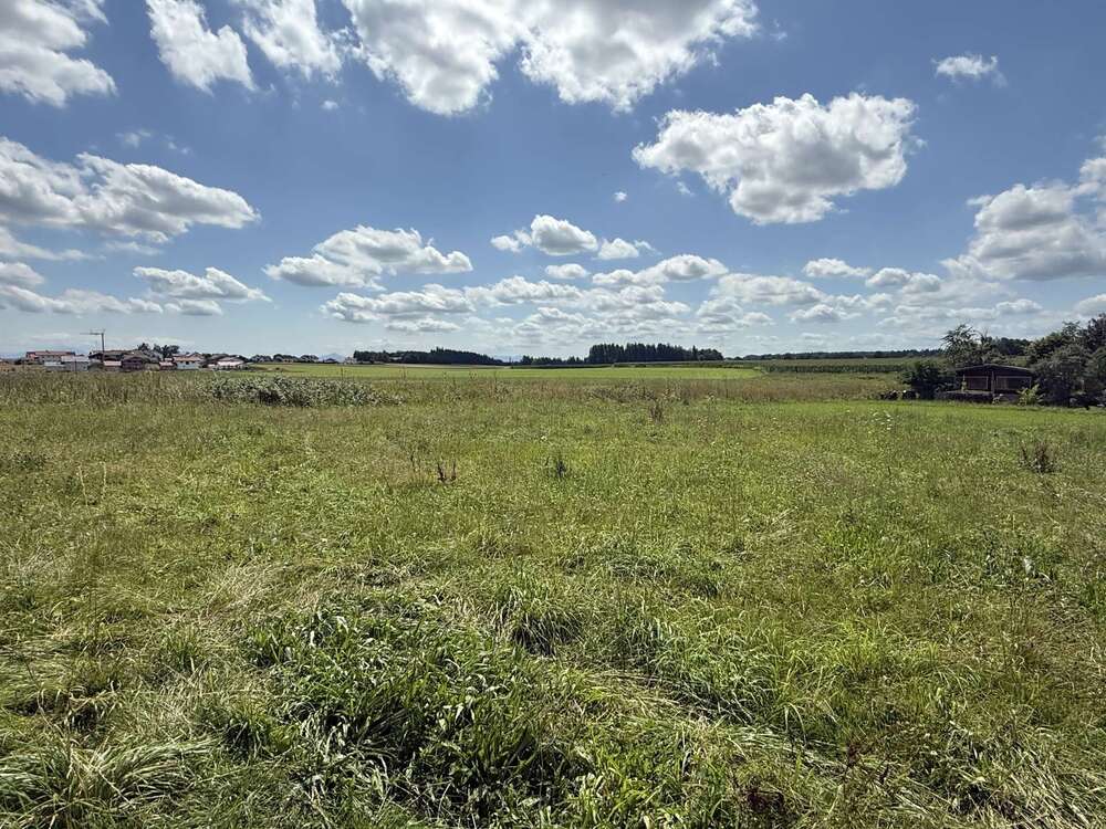 Thumbnail-Grundstück zu verkaufen in Tacherting Emertsham 295.000,00 € 846 m²