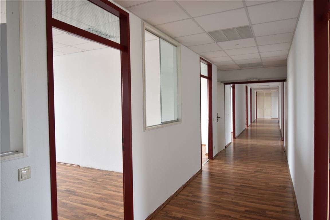 Thumbnail-Büro in Düsseldorf 4.000,00 € 409 m²