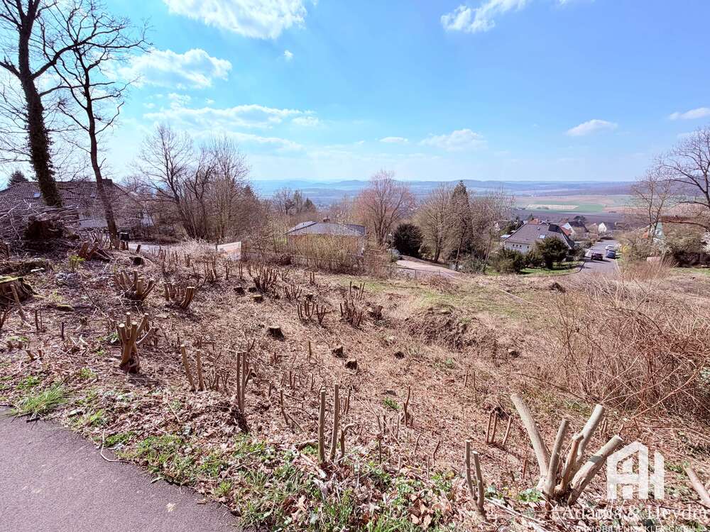 Thumbnail-Grundstück zu verkaufen in Niedenstein 215.000,00 € 1432 m²
