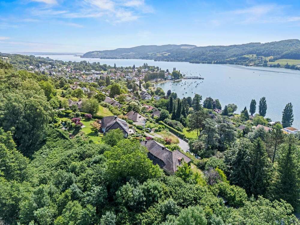 Thumbnail-Haus zum Kaufen in Wangen 2.500.000,00 € 247 m²