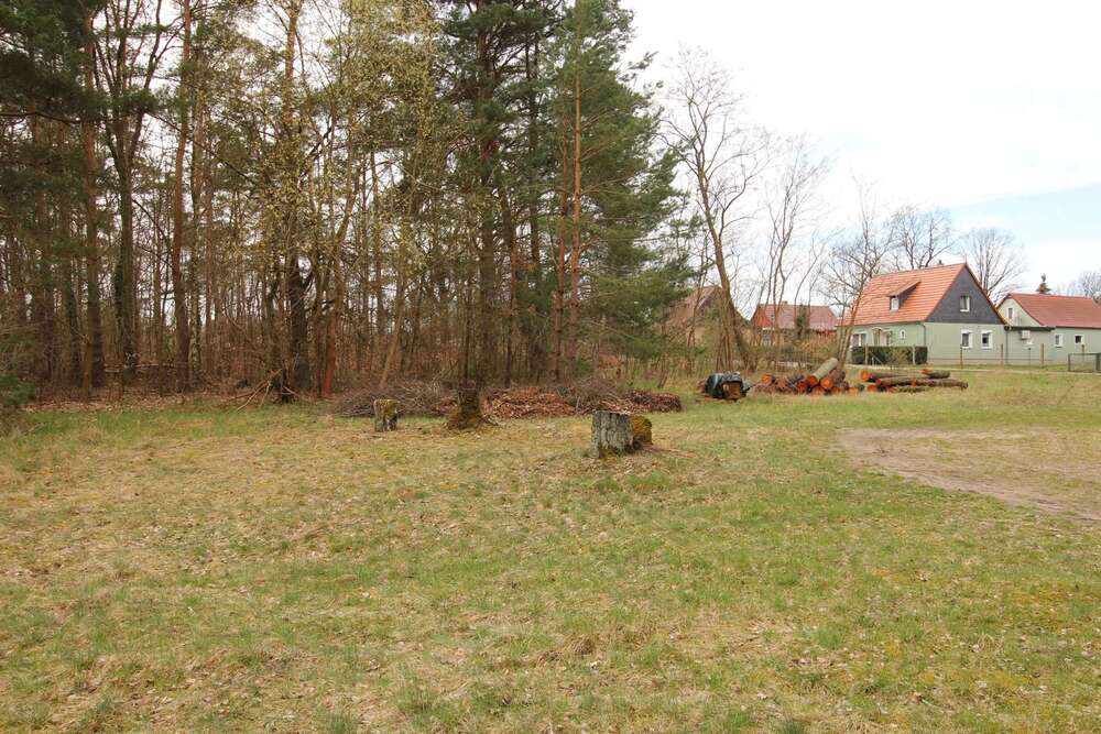 Thumbnail-Grundstück zu verkaufen in Rheinsberg 75.000,00 € 7098 m²