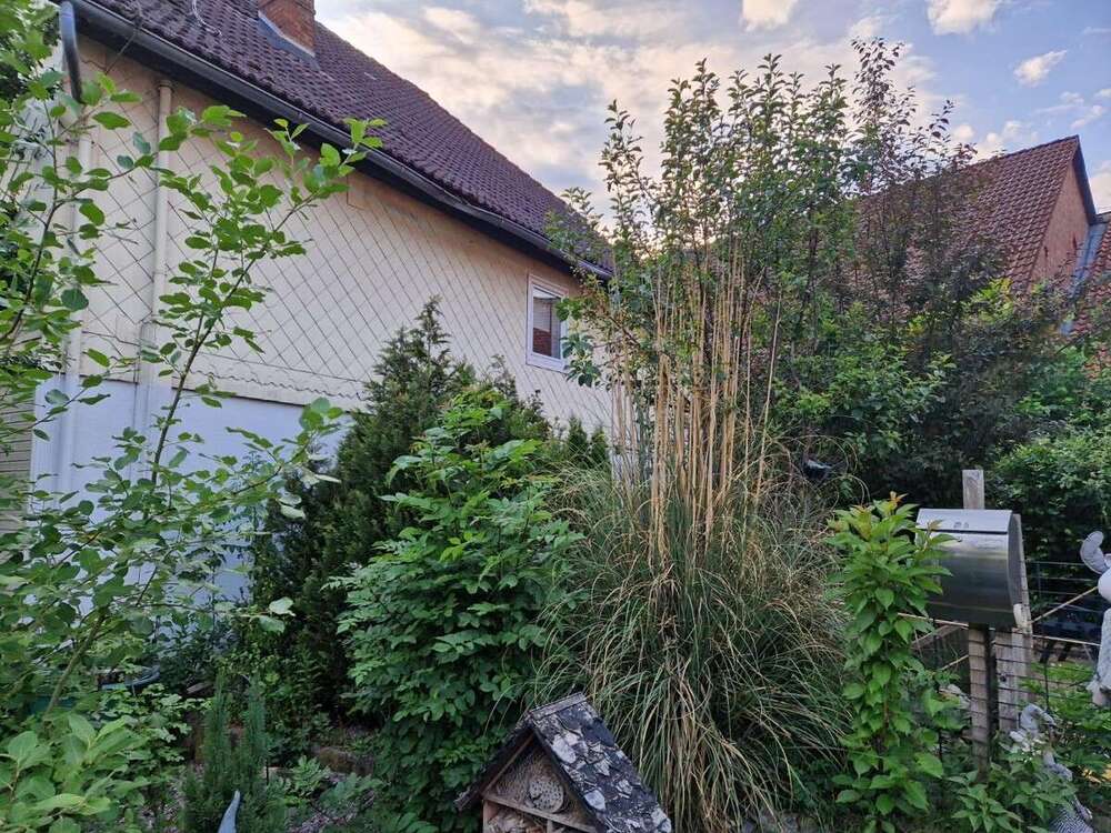 Thumbnail-Haus zum Kaufen in Halle 189.000,00 € 200 m²