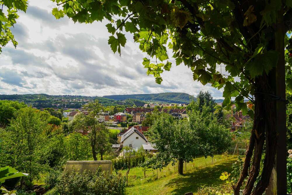 Thumbnail-Grundstück zu verkaufen in Freital 79.000,00 € 492 m²