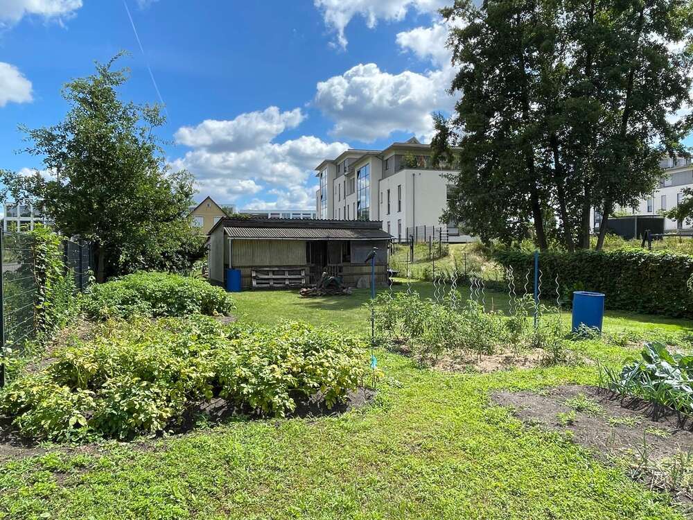 Thumbnail-Grundstück zu verkaufen in Berlin 405.000,00 € 820 m²