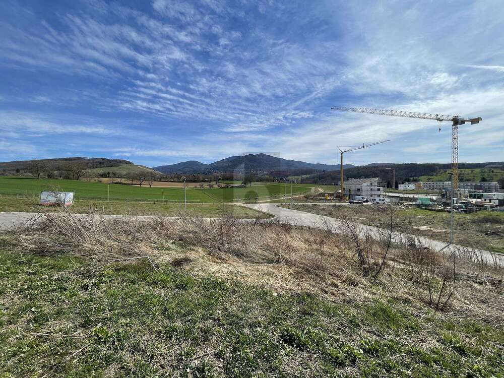Thumbnail-Grundstück zu verkaufen in Müllheim 389.000,00 € 533 m²