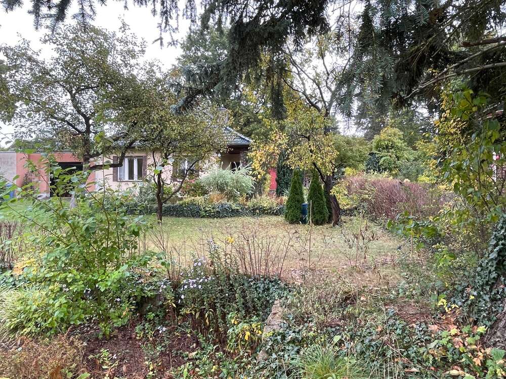 Thumbnail-Haus zum Kaufen in Berlin 350.000,00 € 64 m²