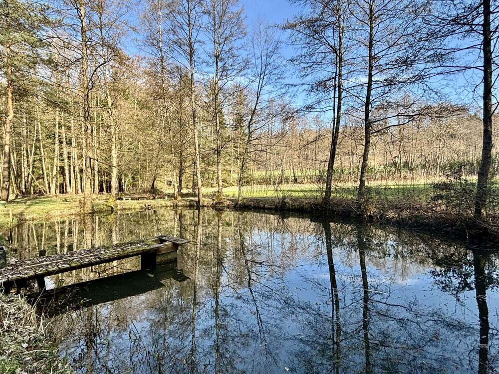 Thumbnail-Grundstück zu verkaufen in Crailsheim 49.000,00 € 4884 m²