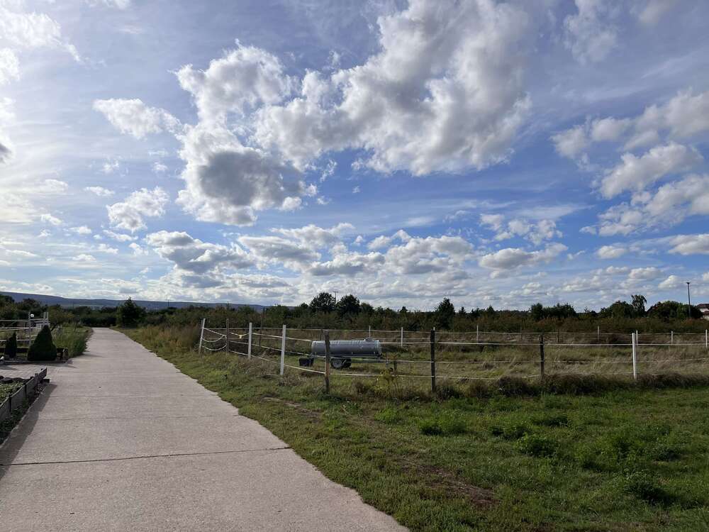 Thumbnail-Grundstück zu verkaufen in Weisenheim am Sand 147.000,00 € 601 m²