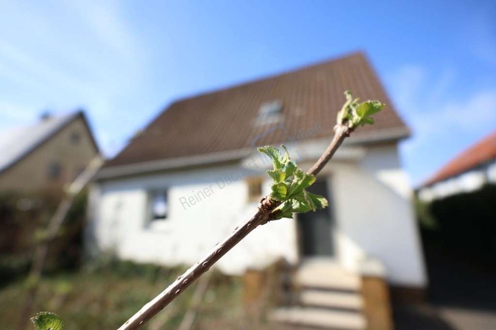 Thumbnail-Haus zum Kaufen in Darmstadt 45.000,00 € 166.24 m²