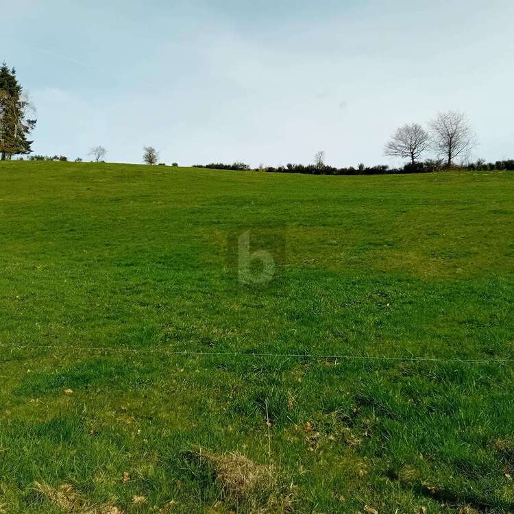 Thumbnail-Grundstück zu verkaufen in Burbach 90.000,00 € 2000 m²