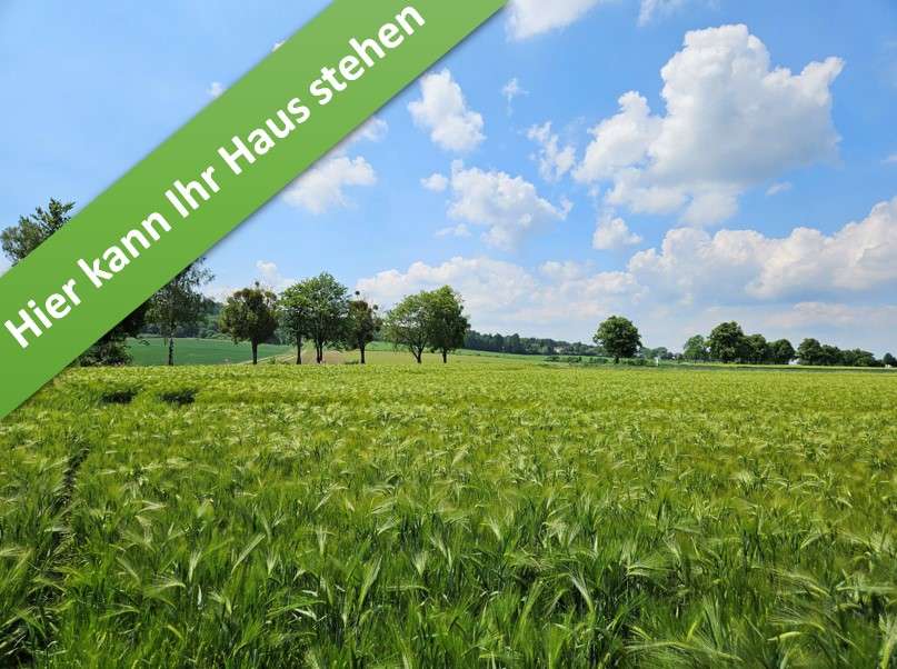 Thumbnail-Haus zum Kaufen in Bennigsen 387.850,00 € 124 m²