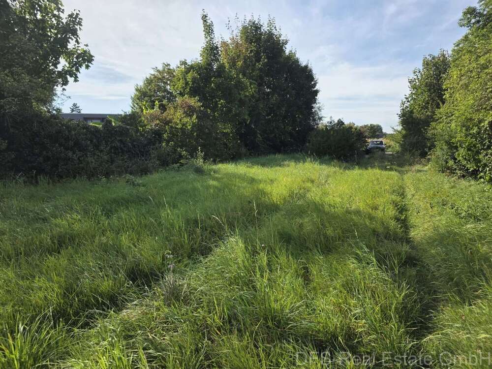 Thumbnail-Grundstück zu verkaufen in Ladenburg 550.000,00 € 750 m²