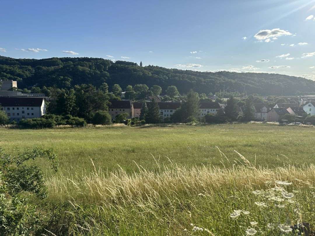 Thumbnail-Grundstück zu verkaufen in Eisenach 1.585.542,00 € 32358 m²