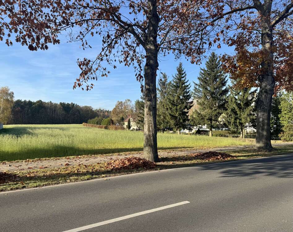 Thumbnail-Grundstück zu verkaufen in Groß Düben 33.500,00 € 1200 m²