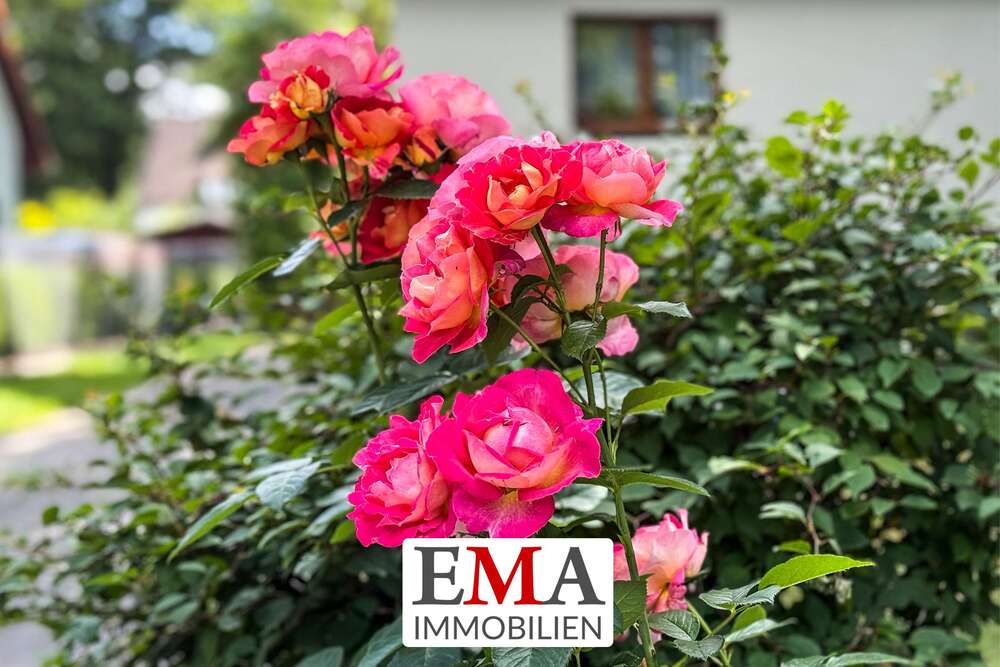 Thumbnail-Haus zum Kaufen in Schönwalde-Glien 420.000,00 € 125 m²
