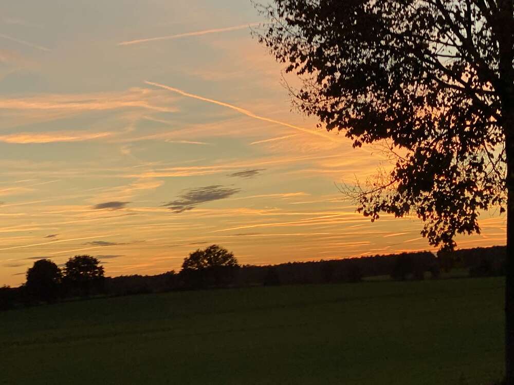 Thumbnail-Grundstück zu verkaufen in Zühlsdorf 350.000,00 € 5100 m²