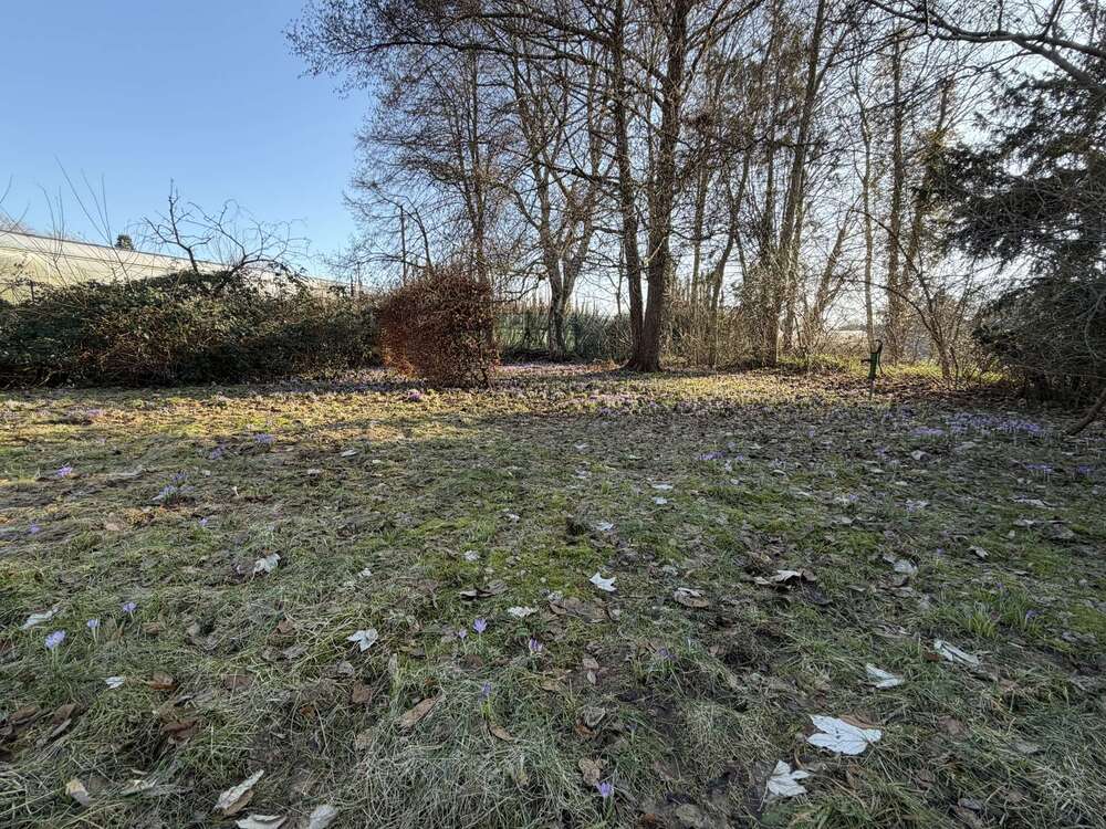 Thumbnail-Grundstück zu verkaufen in Tornesch 249.000,00 € 770 m²