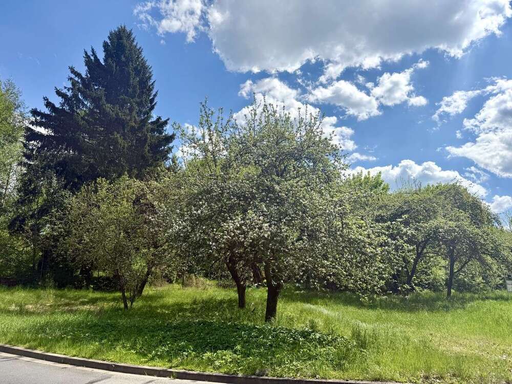 Thumbnail-Grundstück zu verkaufen in Bayreuth 295.000,00 € 1292 m²