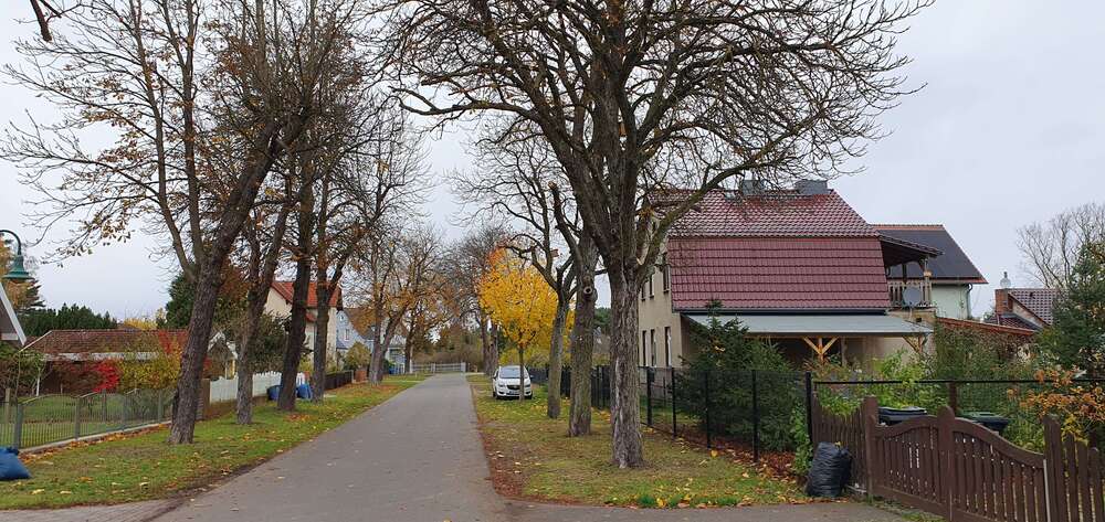 Thumbnail-Grundstück zu verkaufen in Neu Zittau 135.000,00 € 385 m²