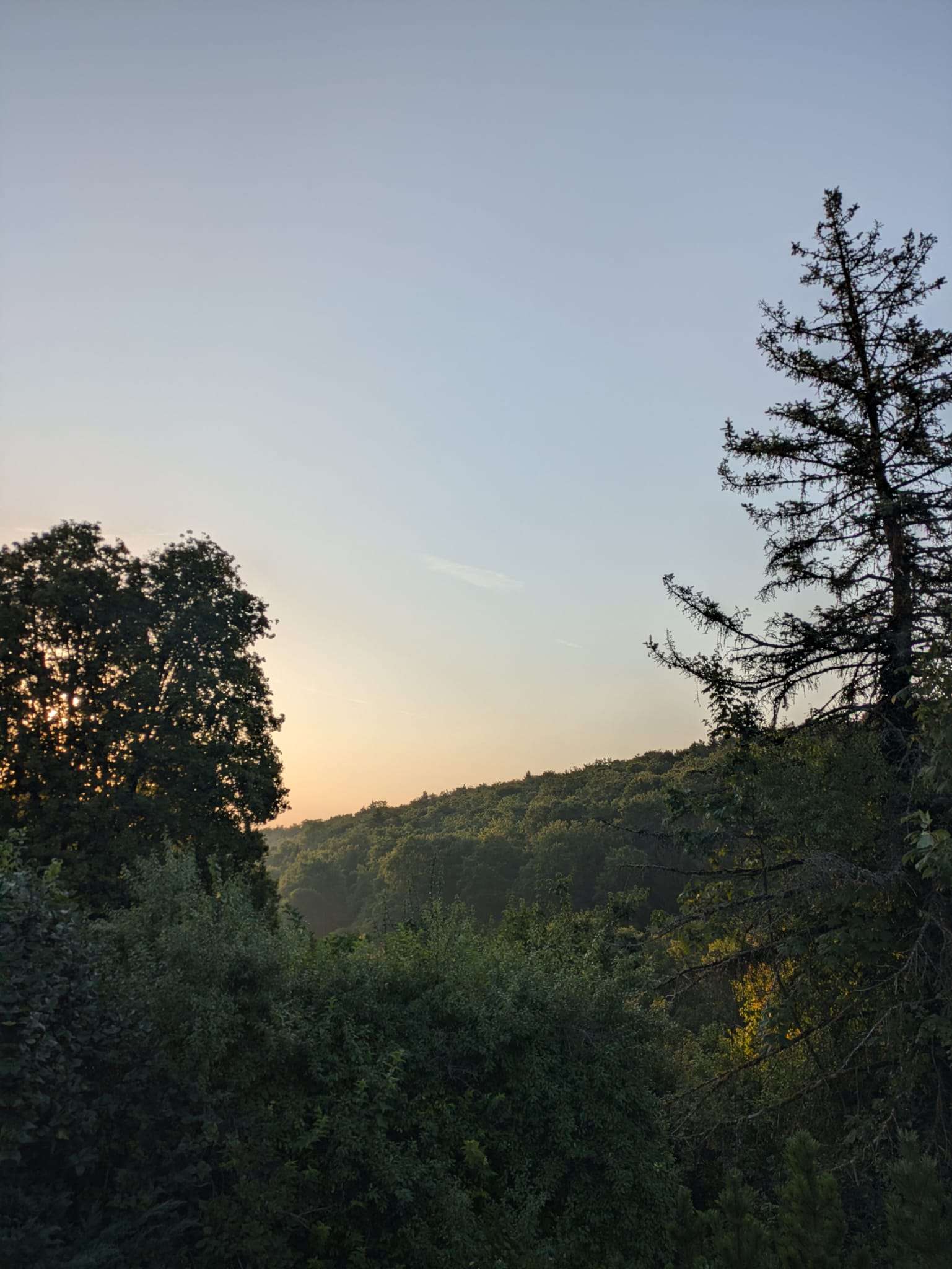 Thumbnail-Haus zum Kaufen in Heidenheim 385.000,00 € 185 m²