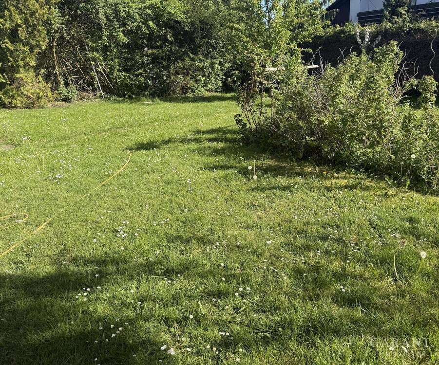 Thumbnail-Haus zum Kaufen in Ingolstadt 598.900,00 € 250 m²