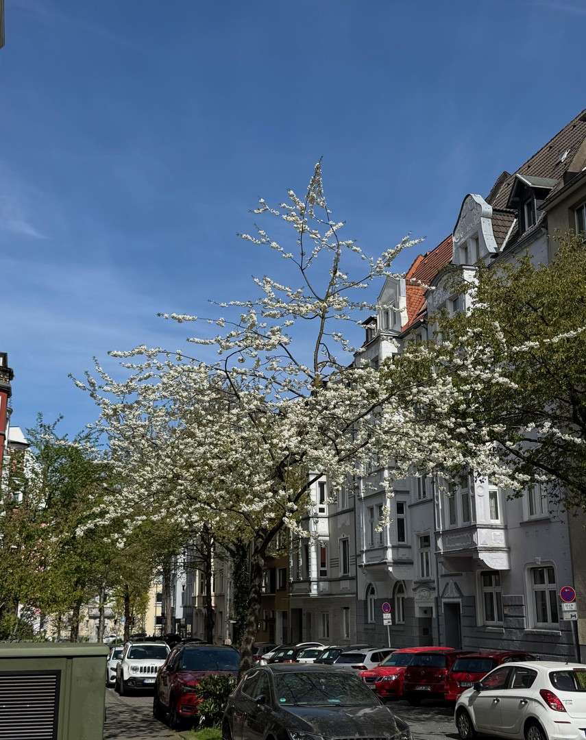 Thumbnail-Wohnung zum Mieten in Dortmund 1.850,00 € 134 m²