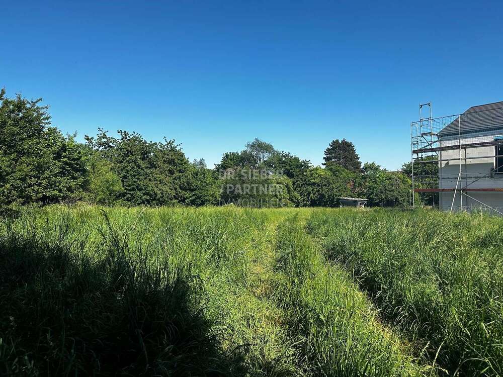 Thumbnail-Grundstück zu verkaufen in Machern 192.000,00 € 1489 m²