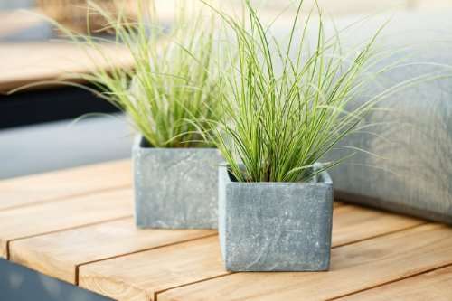 Thumbnail-Haus zum Kaufen in Pirna 577.836,00 € 152 m²