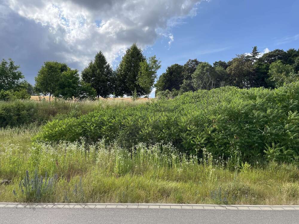 Thumbnail-Grundstück zu verkaufen in Bassenheim 227.850,00 € 651 m²
