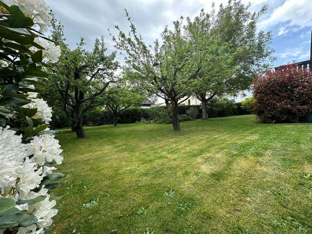Thumbnail-Wohnung zum Mieten in Neu-Anspach 2.100,00 € 165.71 m²