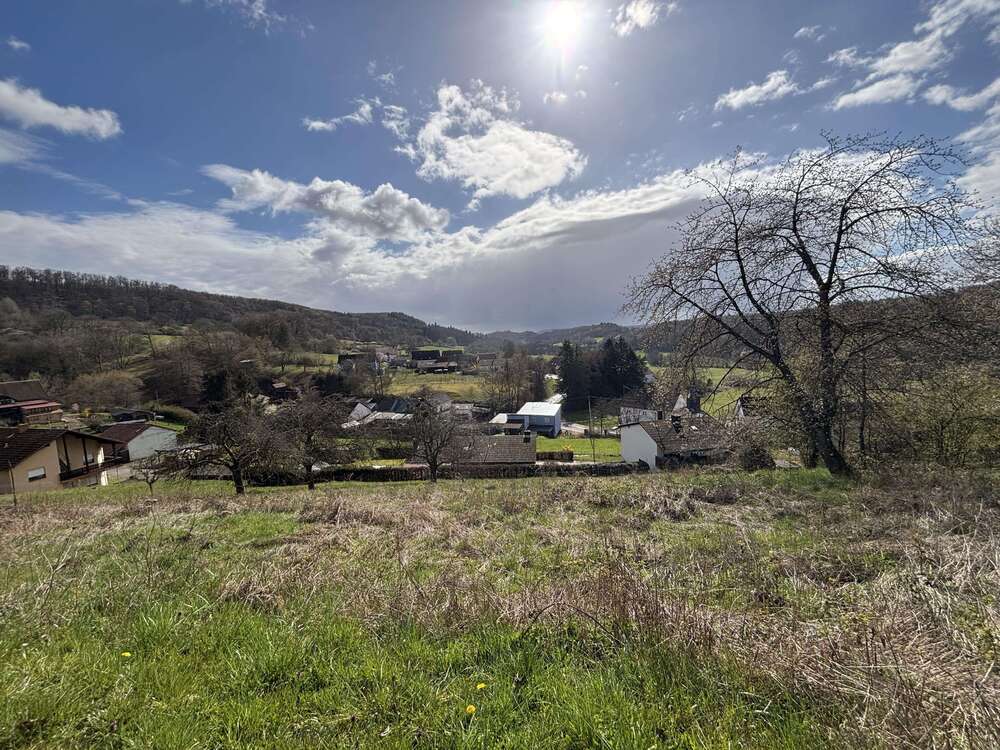 Thumbnail-Grundstück zu verkaufen in Wadern 49.000,00 € 768 m²